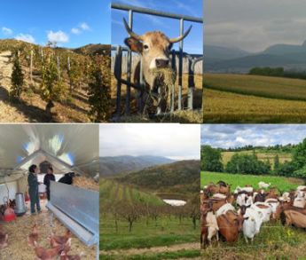 BTSA ACSE recadré (2025)