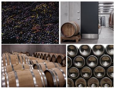 Formation Vinification Travaux de Cave (375 × 293 px)