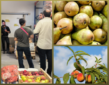 Culture Fruitière