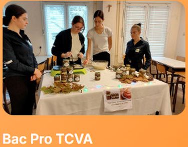 BAC Pro TCV